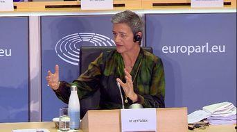 欧盟官员爆料视频大全下载  第1张